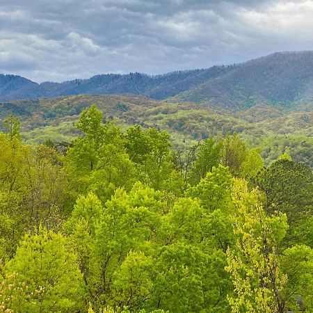 Amazing Views Villa Gatlinburg Oda fotoğraf