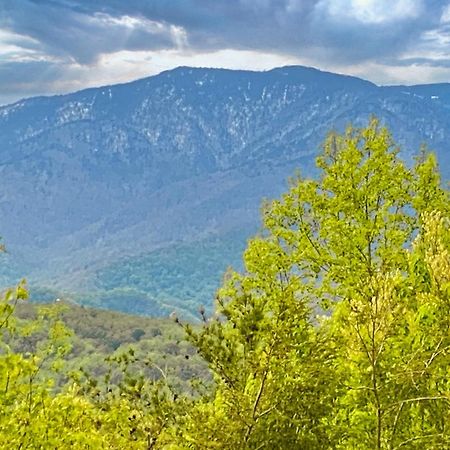 Amazing Views Villa Gatlinburg Oda fotoğraf